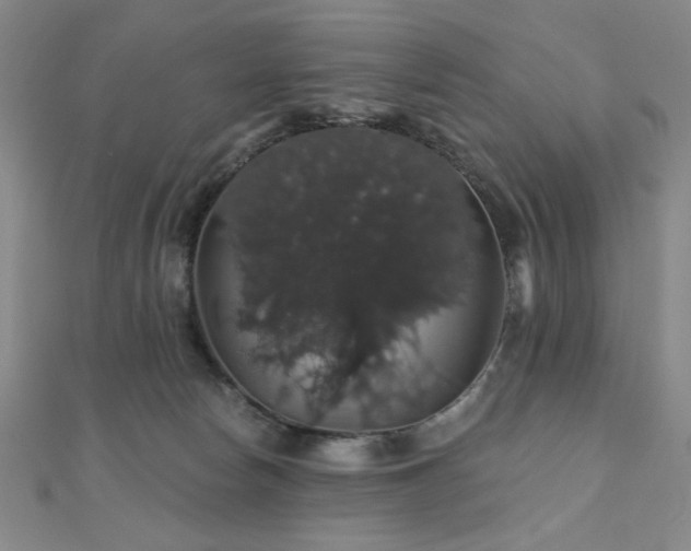 X0000110700178200906121341