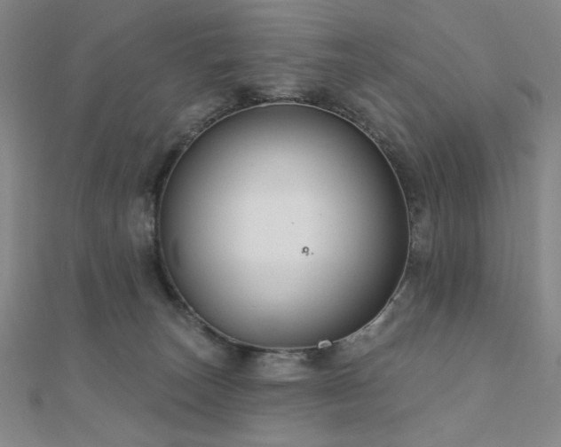 X0000110700179200906121341