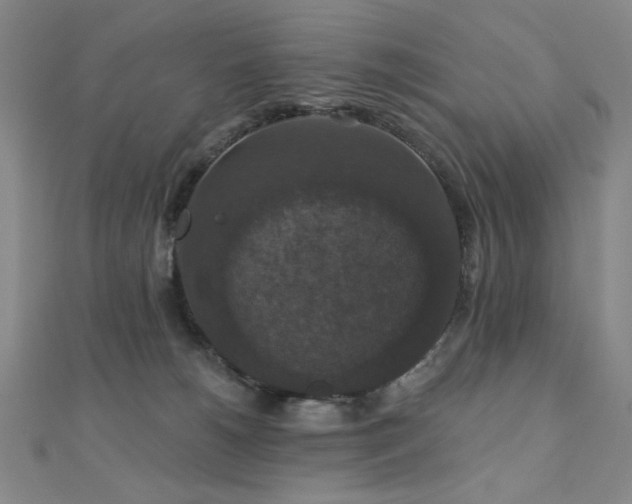 X0000110700180200906121341