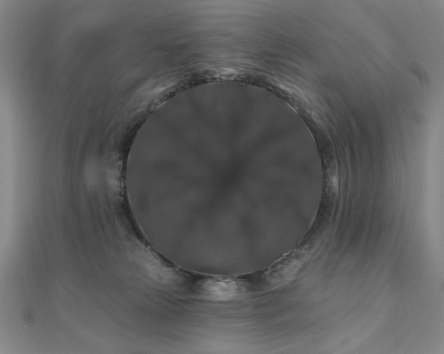 X0000110700181200906121341