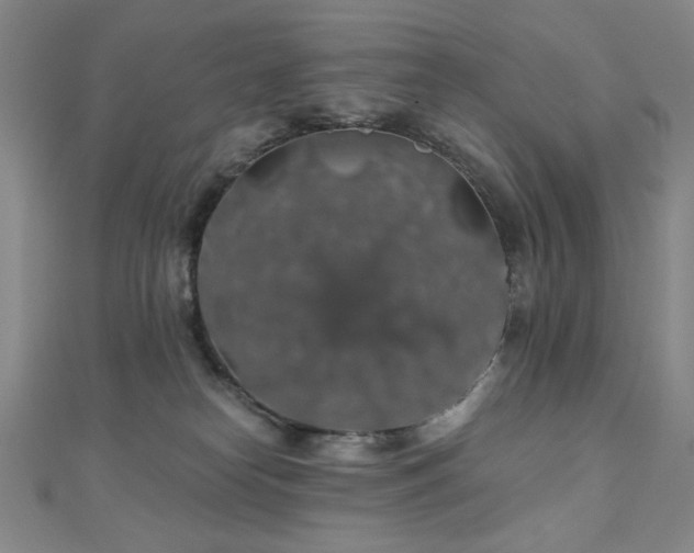 X0000110700182200906121341