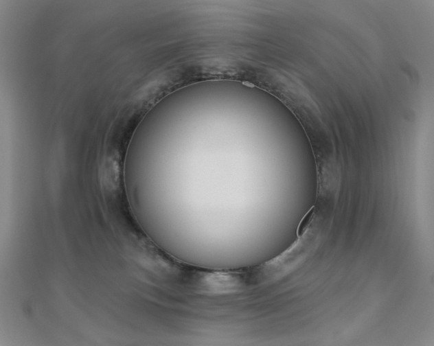 X0000110700183200906121341