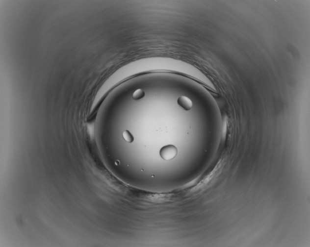 X0000110700184200906121341