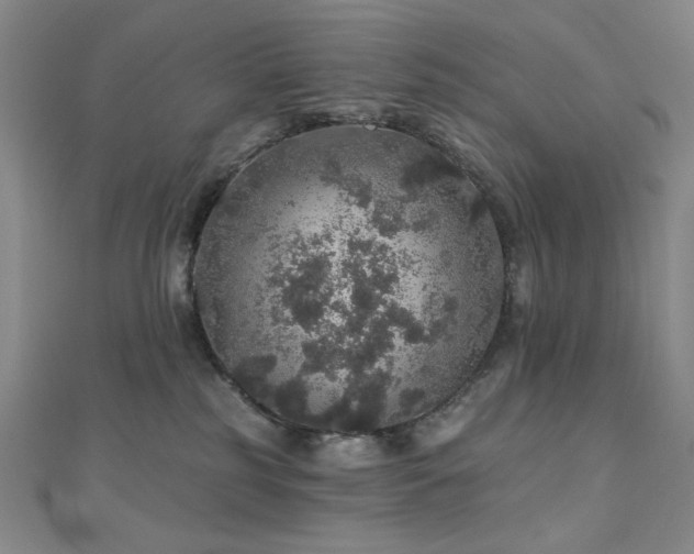 X0000110700185200906121341