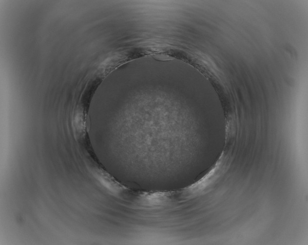 X0000110700186200906121341