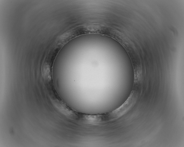 X0000110700187200906121341