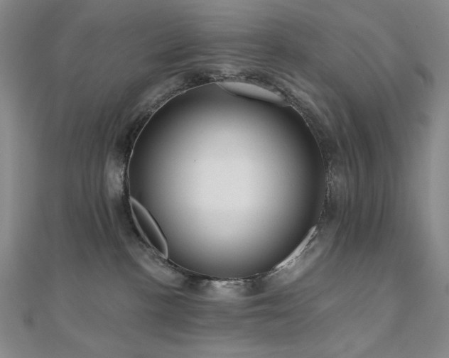 X0000110700188200906121341