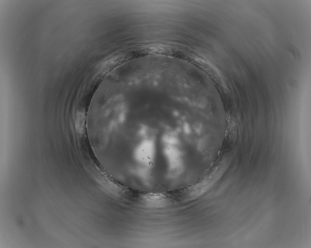 X0000110700189200906121341