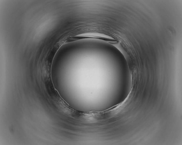 X0000110700190200906121341