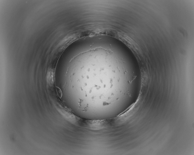 X0000110700191200906121341