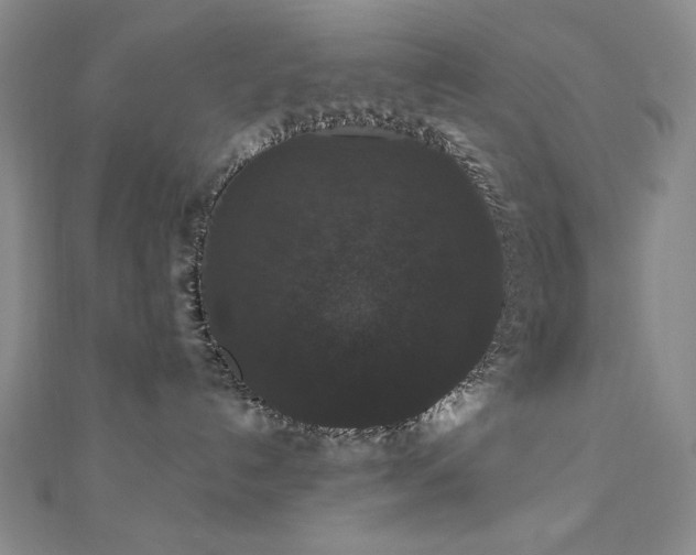 X0000110700192200906121341