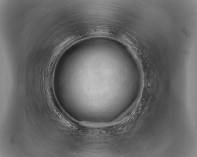 X0000110700193200906121341