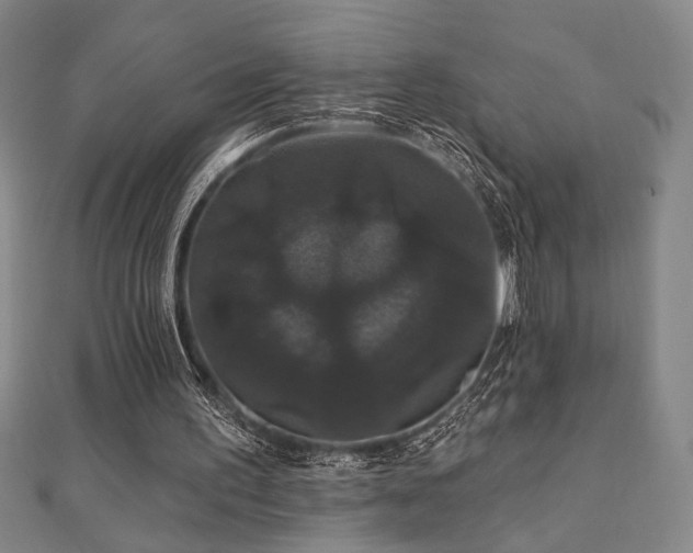X0000110700195200906121341