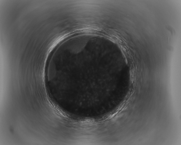 X0000110700196200906121341