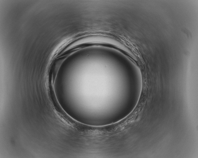 X0000110700197200906121341