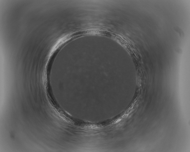 X0000110700198200906121341