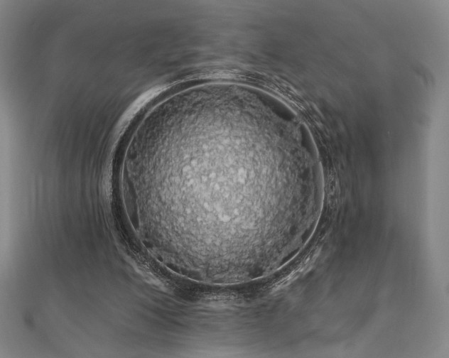 X0000110700200200906121341