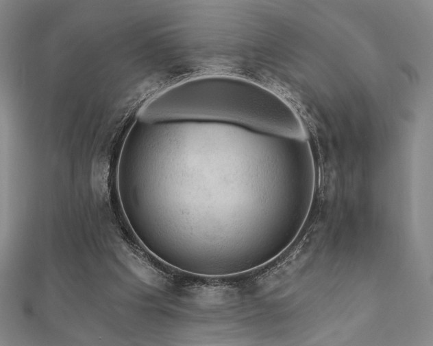 X0000110700201200906121341