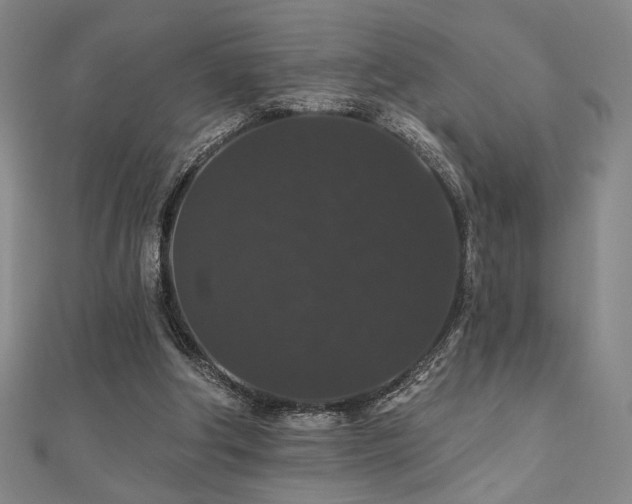 X0000110700202200906121341