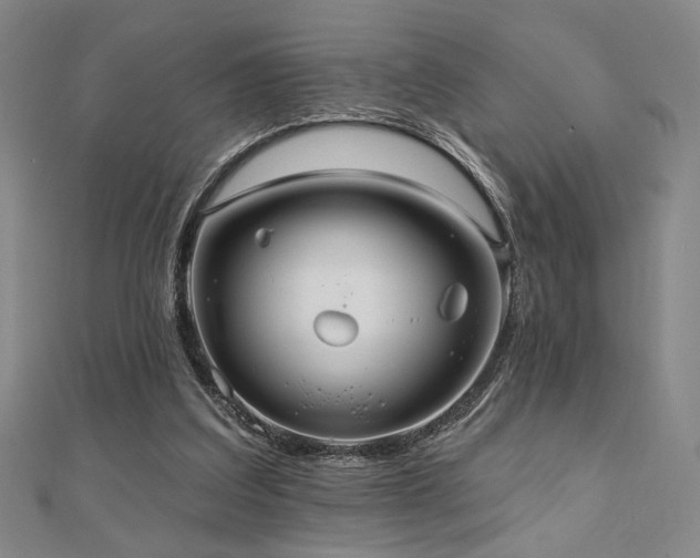 X0000110700203200906121341