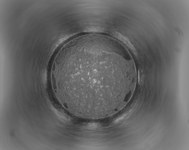 X0000110700204200906121341