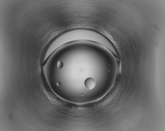 X0000110700205200906121341