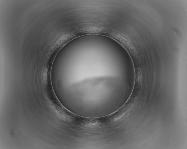 X0000110700206200906121340
