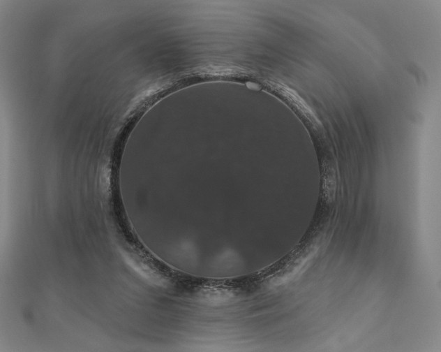 X0000110700207200906121340
