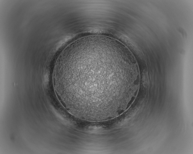 X0000110700208200906121340