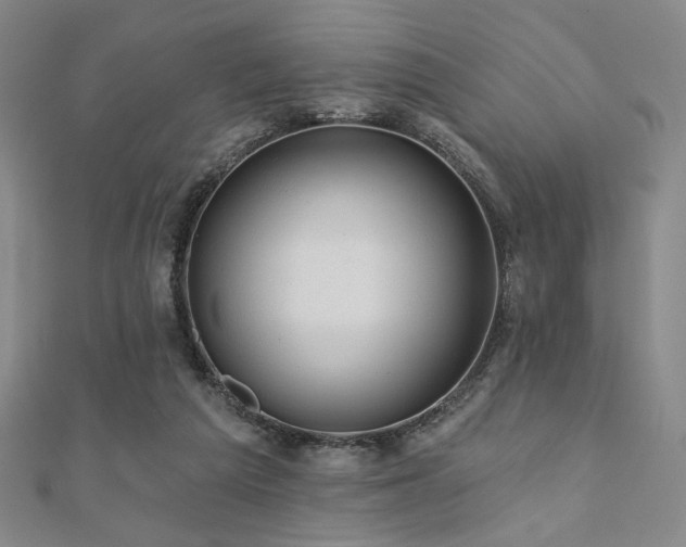 X0000110700209200906121340