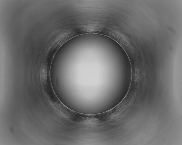 X0000110700210200906121340