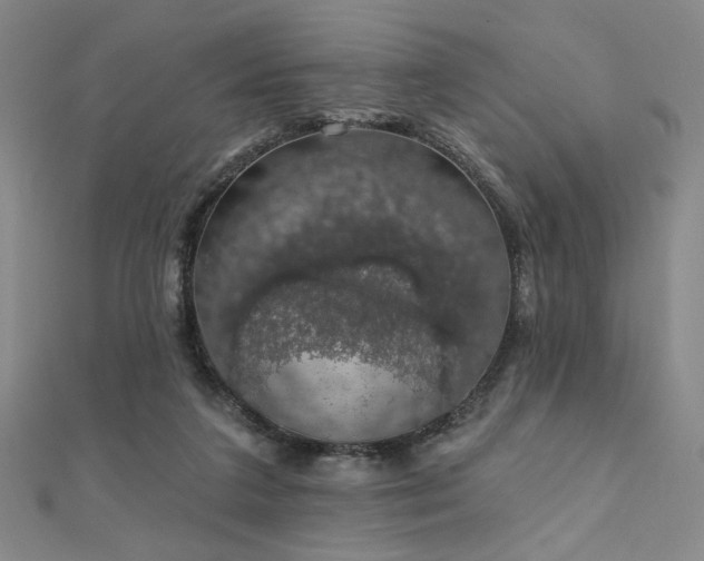X0000110700211200906121340
