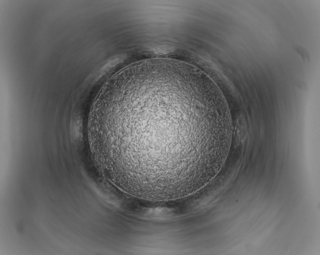 X0000110700212200906121340