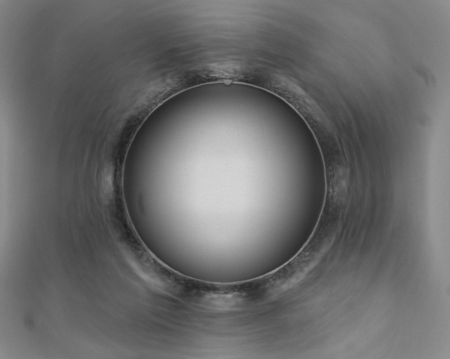 X0000110700213200906121340