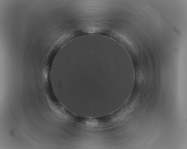 X0000110700214200906121340