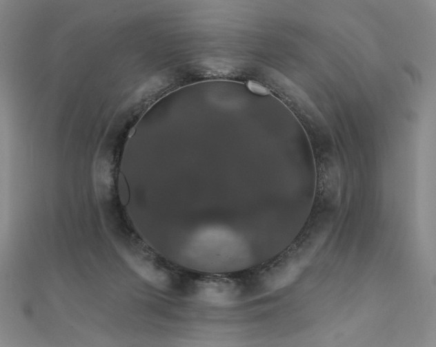 X0000110700215200906121340