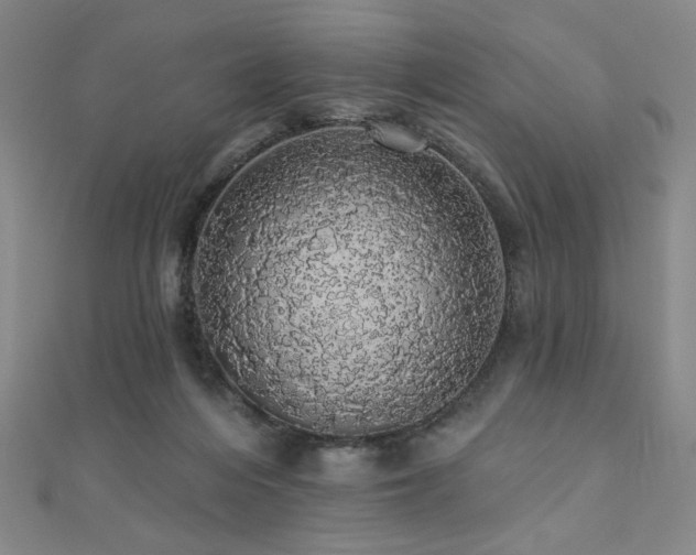 X0000110700216200906121340