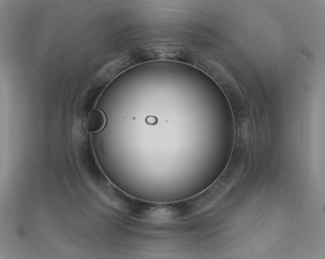 X0000110700218200906121340