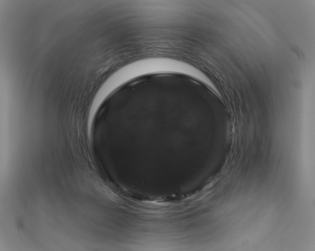 X0000110700219200906121340