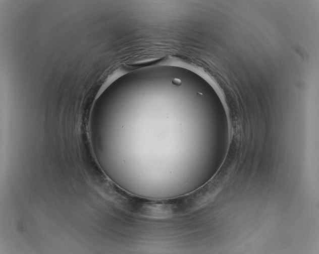 X0000110700221200906121340