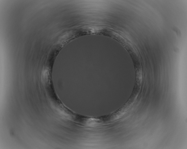 X0000110700222200906121340