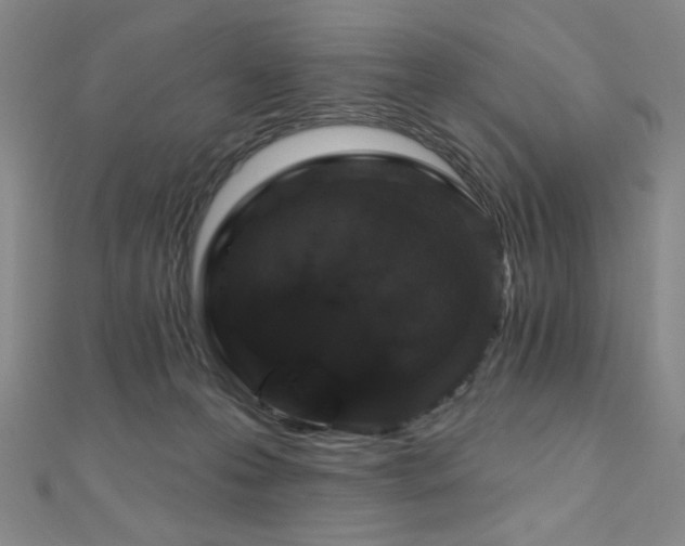 X0000110700223200906121340