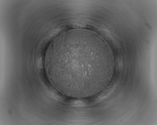 X0000110700224200906121340