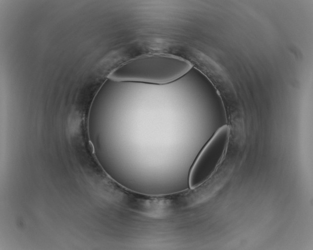 X0000110700225200906121340
