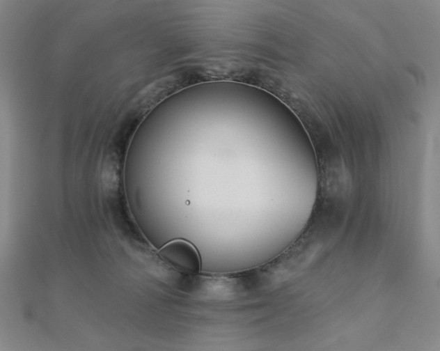 X0000110700226200906121340