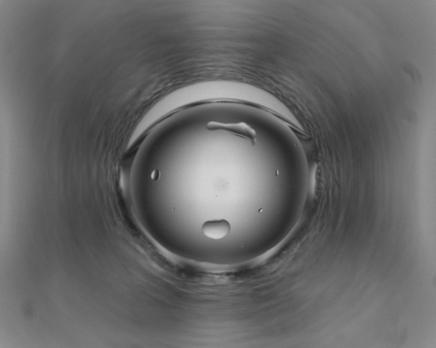 X0000110700227200906121340
