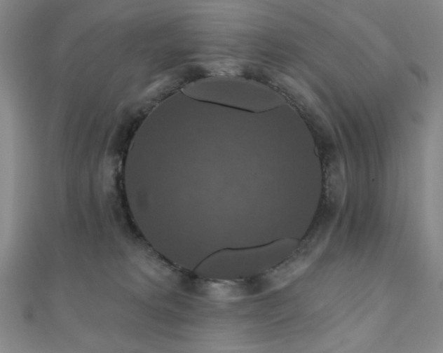 X0000110700229200906121340