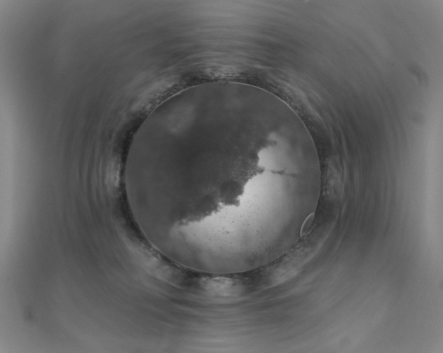 X0000110700230200906121340