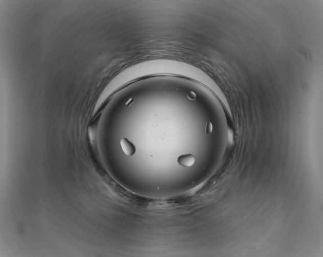 X0000110700231200906121340