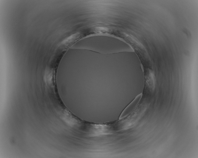 X0000110700233200906121340